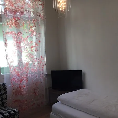 海德堡阿斯托利亚酒店 4*